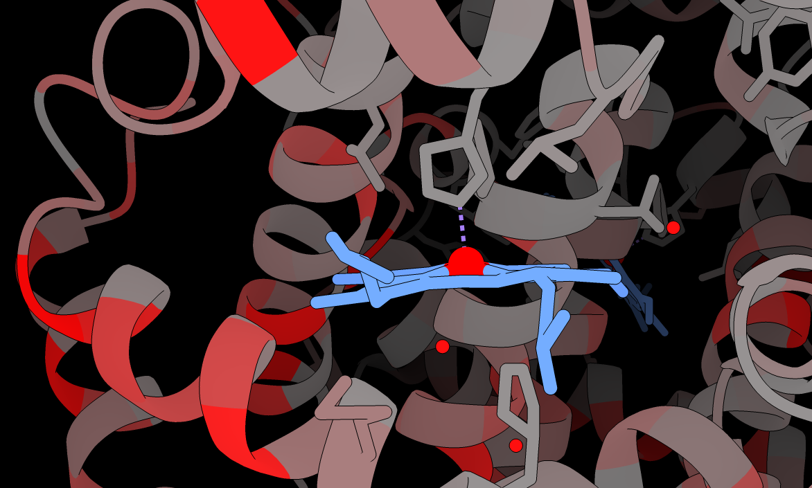 Structure-oriented figure from biological modeling work